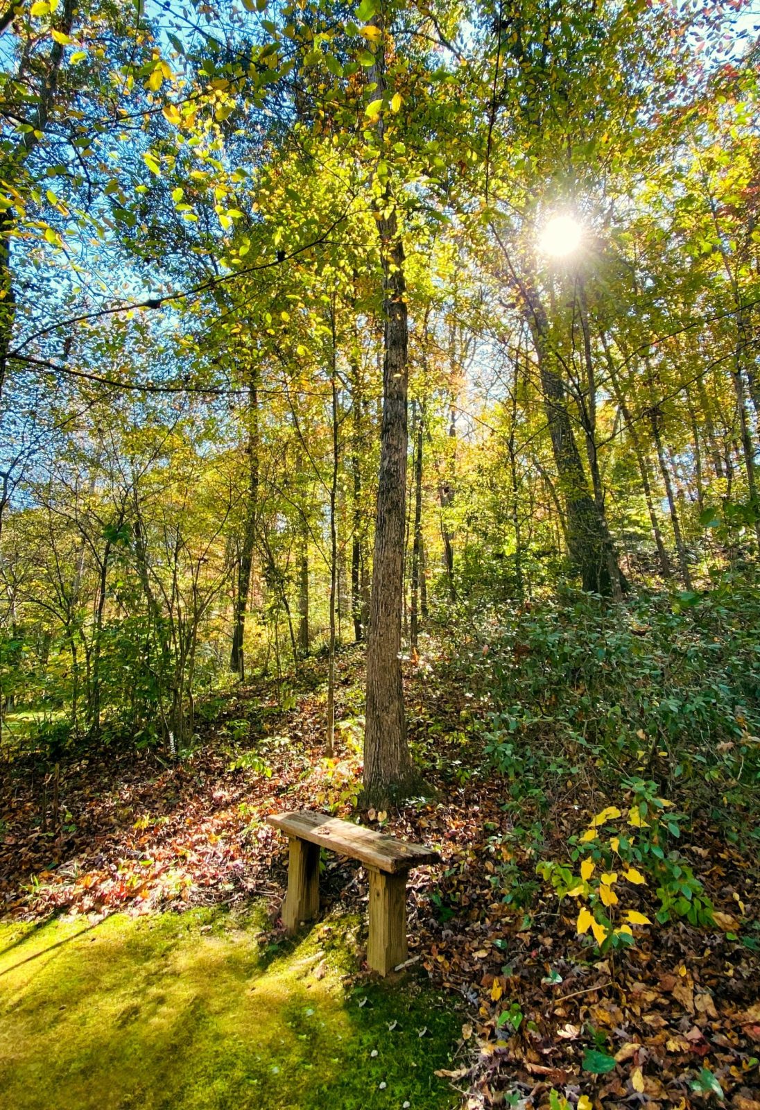 What Role Do Relationships And Social Connections Play In Building Resilience And Practicing Self-care?