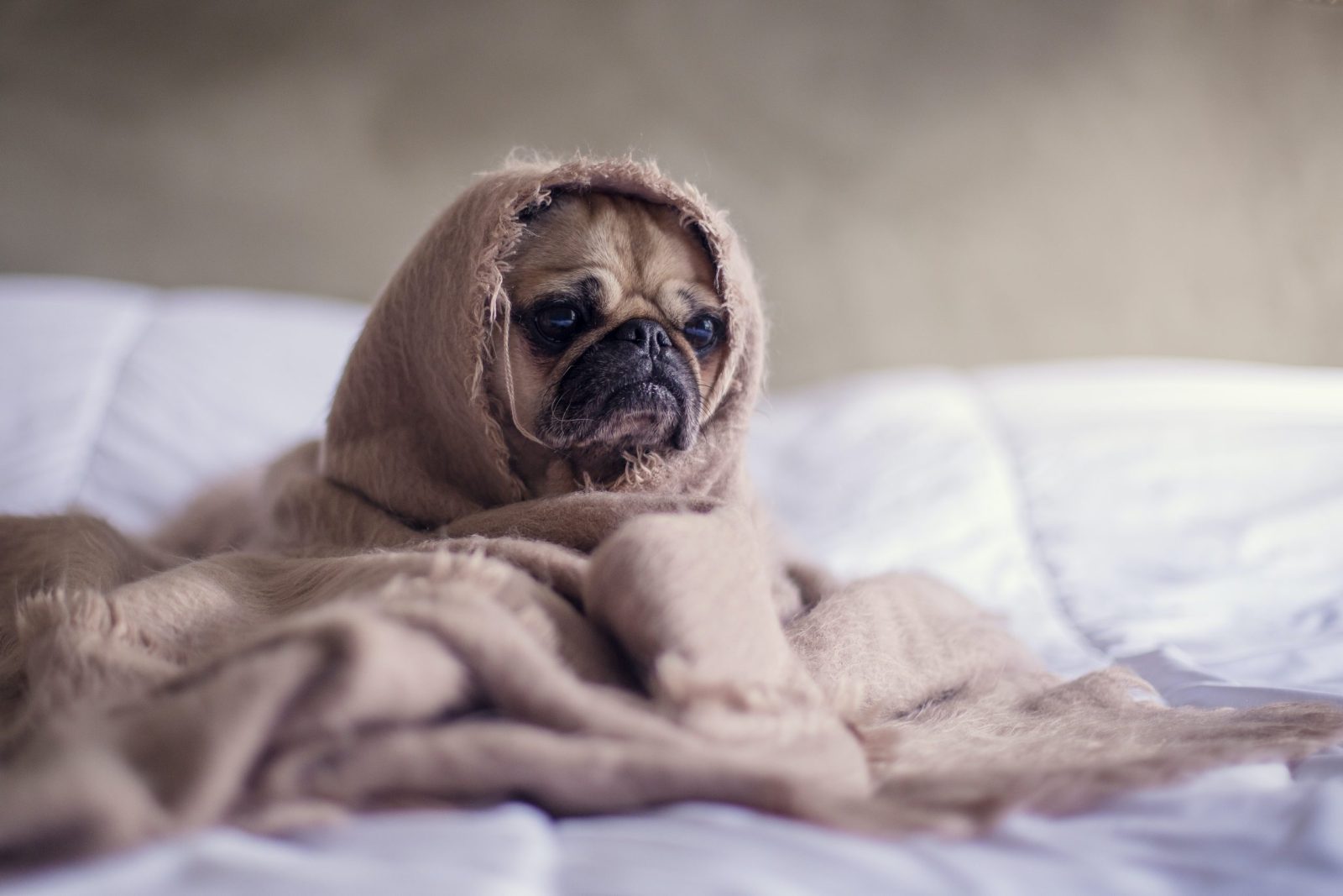 Can Stress Be Beneficial In Certain Situations, Such As In Sports Or Work?