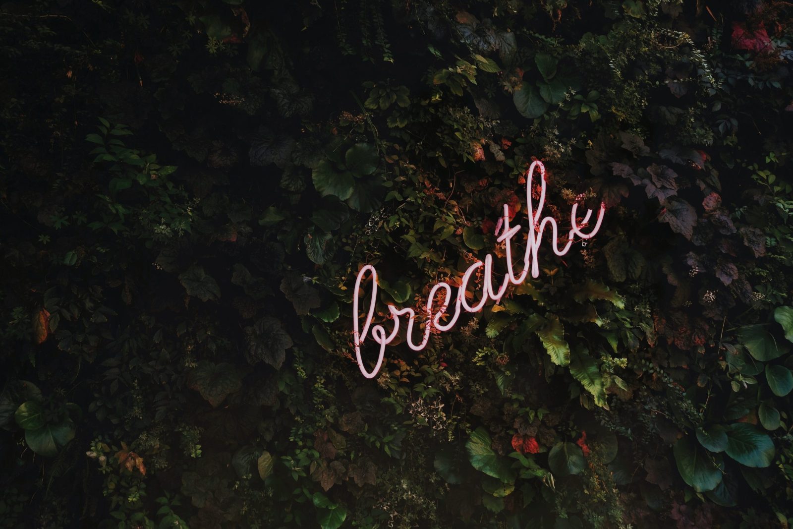 Can Technology And Apps Help Individuals Track And Manage Their Stress Levels?