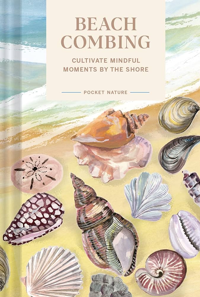 Mindful Seashell Collecting: Treasures From The Shoreline