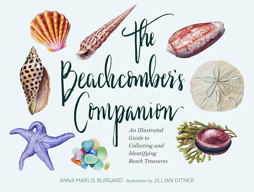 Mindful Seashell Collecting: Treasures From The Shoreline