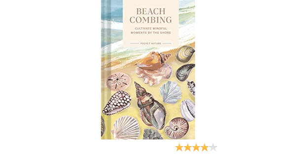 Mindful Seashell Collecting: Treasures From The Shoreline