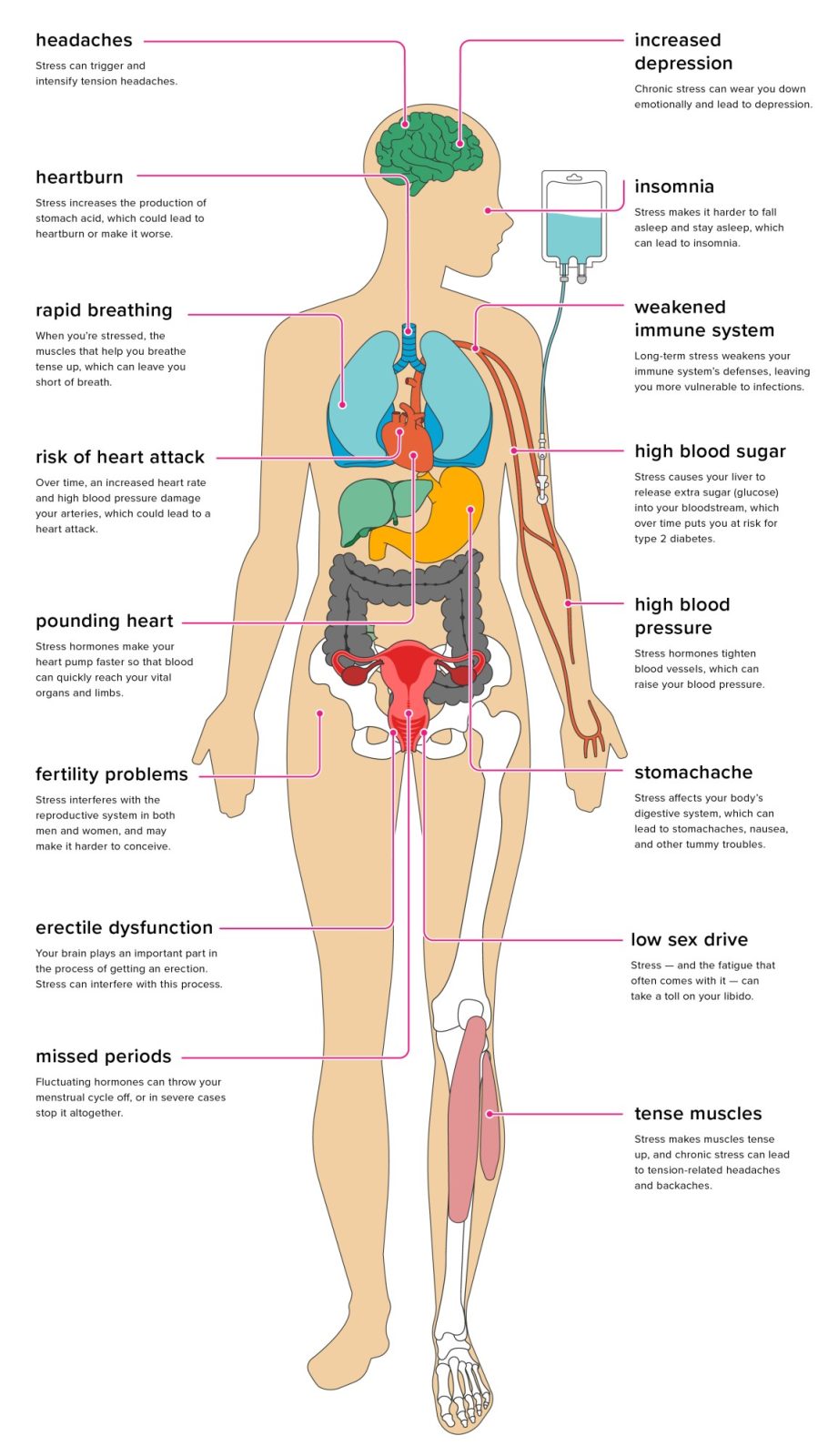 What Are The Signs That Someone May Be Experiencing Chronic Stress?
