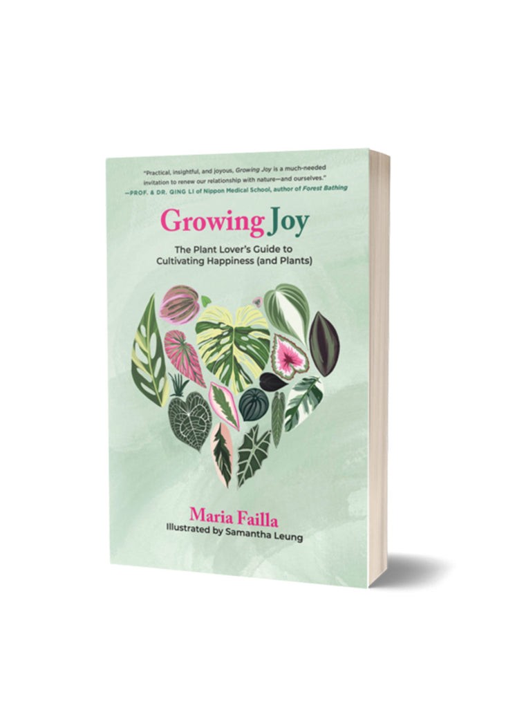 Cultivating Joy: Self-Care Tips For Gardeners