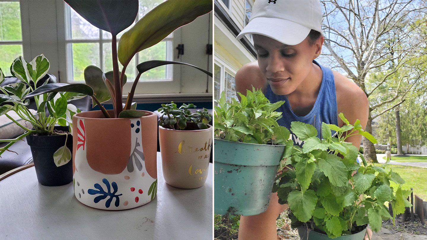 Cultivating Joy: Self-Care Tips For Gardeners