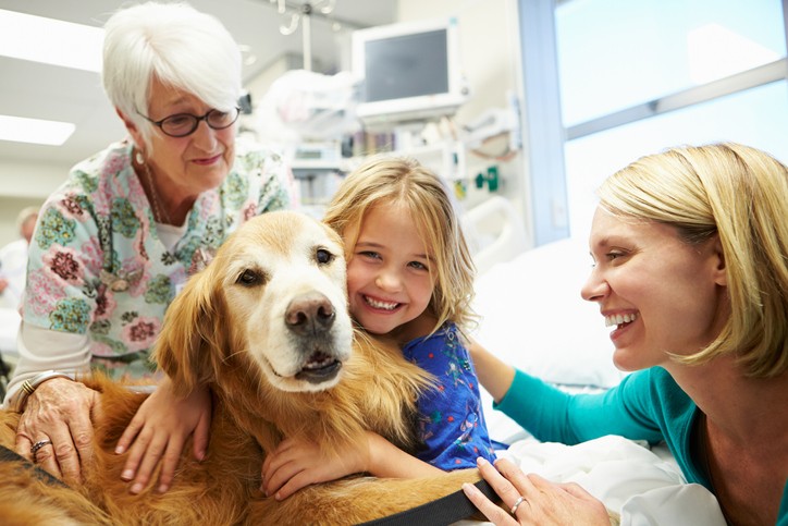 The Healing Power Of Pets: Animal-Assisted Self-Care
