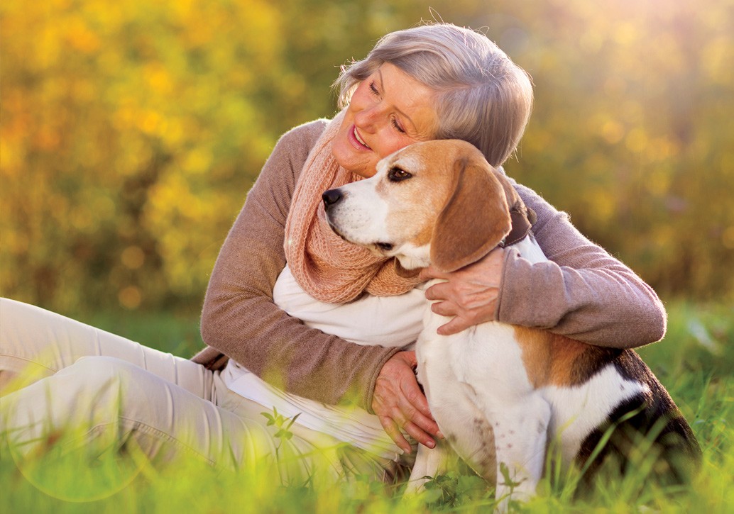 The Healing Power Of Pets: Animal-Assisted Self-Care