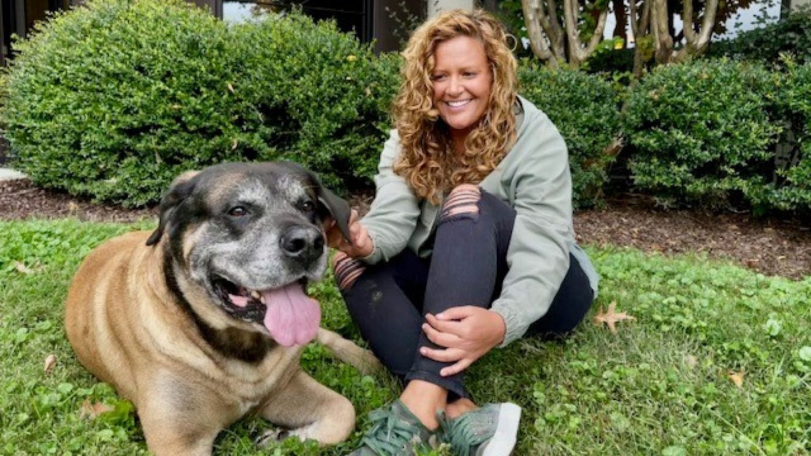 The Healing Power Of Pets: Animal-Assisted Self-Care